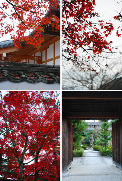 Autumn @ Arashiyama-Sagano, Kyoto